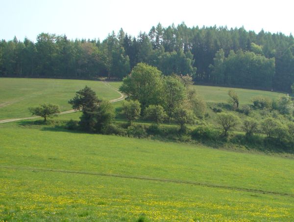 04 - louka pod Kozincem