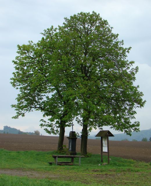 K���ek u Vran� hory